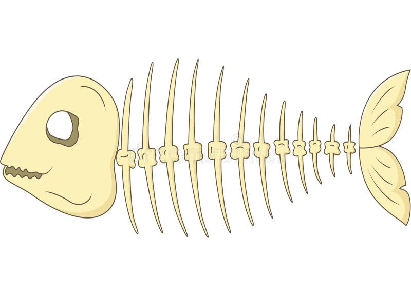 Fish skeleton cartoon stock vector. Illustration of illustrations - 45749685