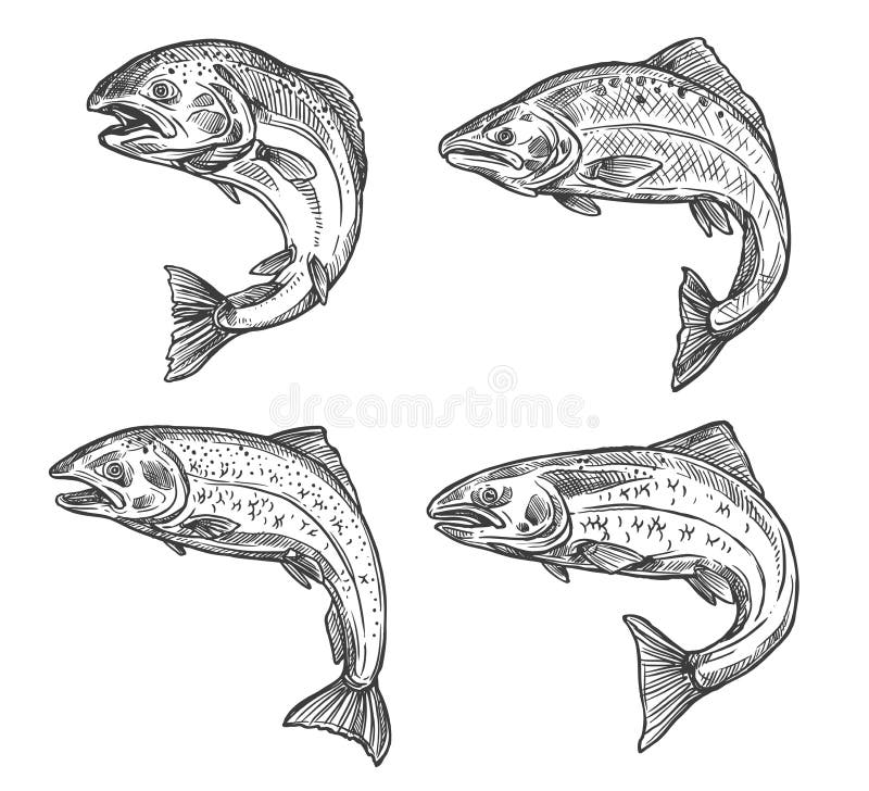Fishing Symbols Stock Illustrations – 2,927 Fishing Symbols Stock  Illustrations, Vectors & Clipart - Dreamstime