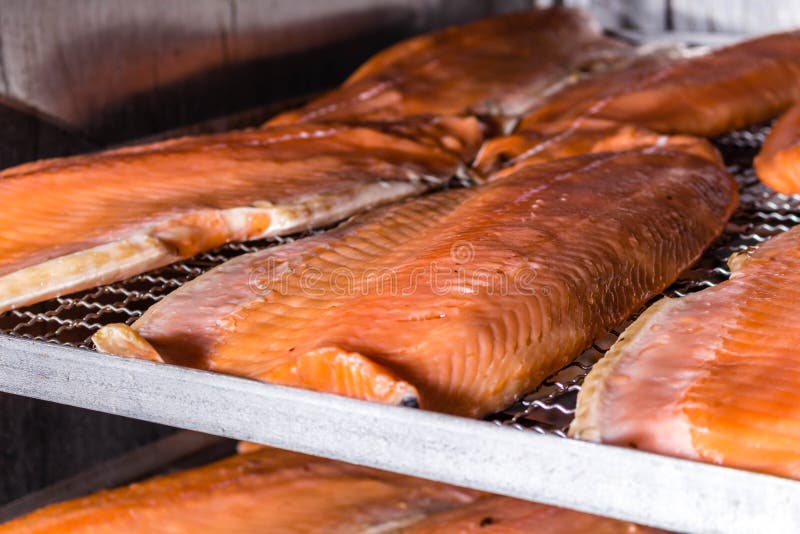 Fish in the Smoking Machine. Cold Smoked Fish Stock Image Image of