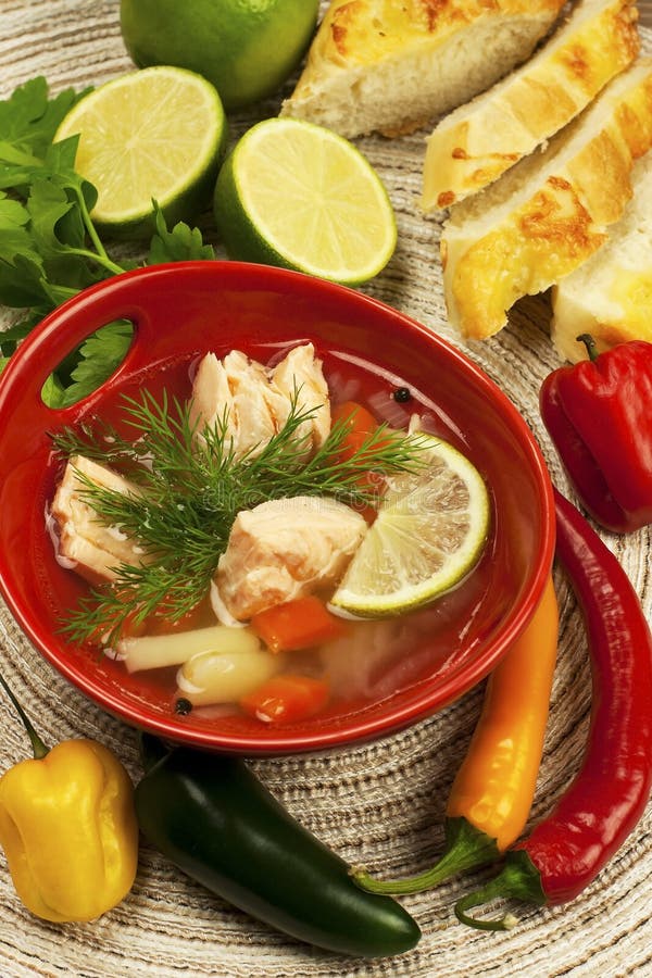 Fish soup with potato and carrots royalty free stock photos