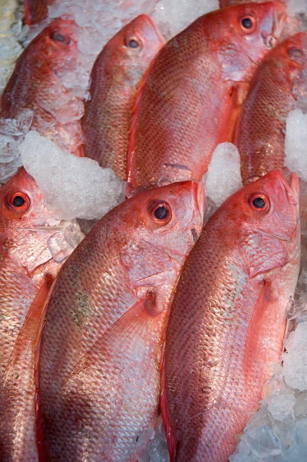Fish in supermarket stock image Fish in supermarket stock image
