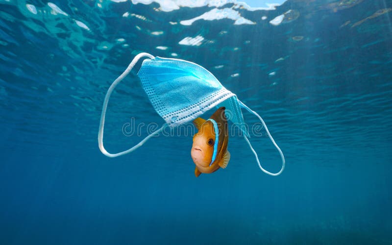 Fish under a surgical face mask plastic pollution in the ocean
