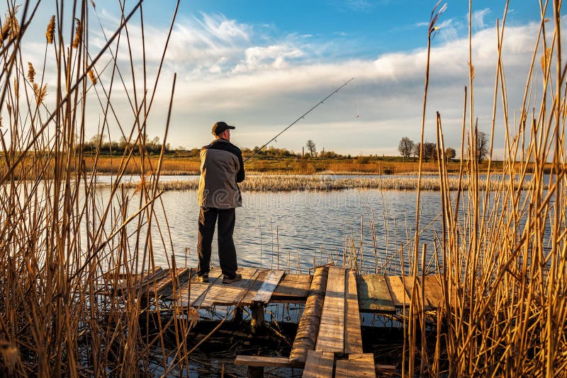 Fisherman Catches Fish on the Lake Stock Photo - Image of calm, active ...