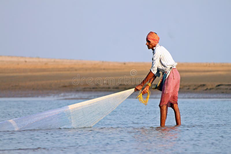 A fisherman catches fish by traditional hand net in the Subarna Rekha river, India. A fisherman catches fish by traditional hand net in the Subarna Rekha river, India
