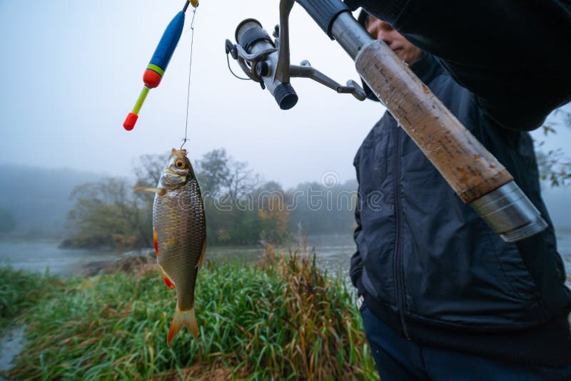 The Fisherman and His Catch. Small Fish with Red Fins, Line and