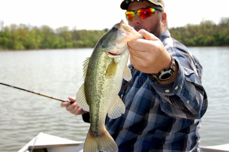 Fisherman holding Bass closeup