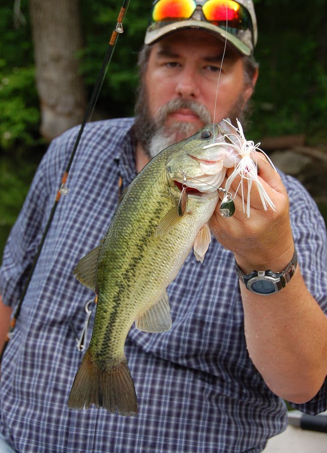 Fisherman Holding Bass Closeup Stock Image Image of lure, bigmouth