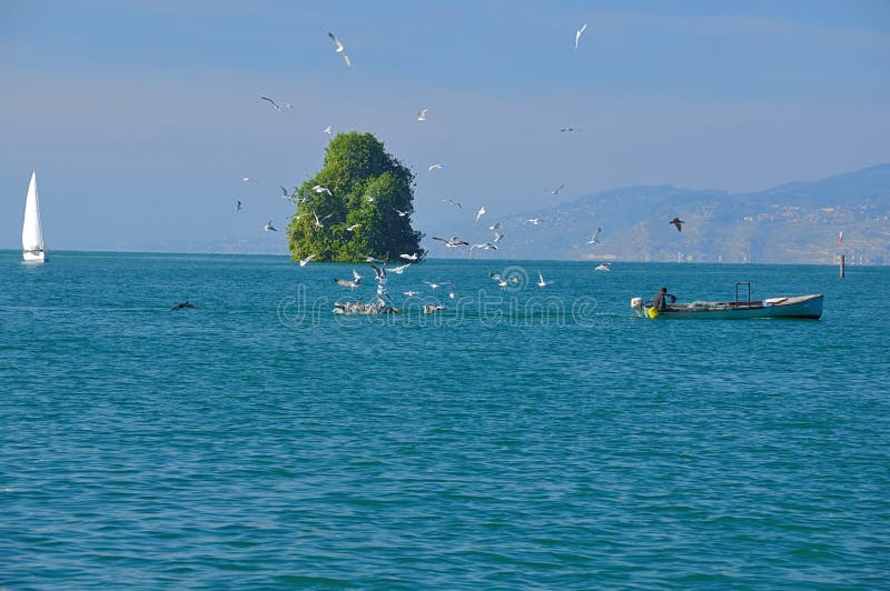 Fisherman on lake geneva