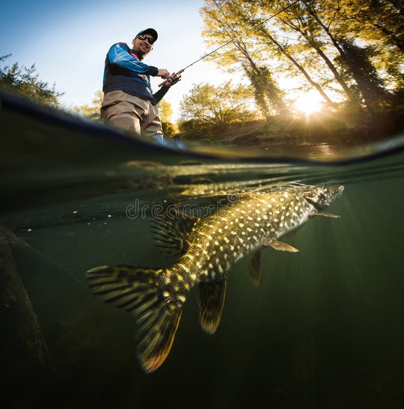 Fishing background. Happy fisherman and pike, underwater view.