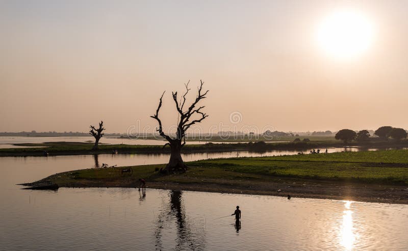 Fisherman and tree silhouette, Amarapura, Myanmar