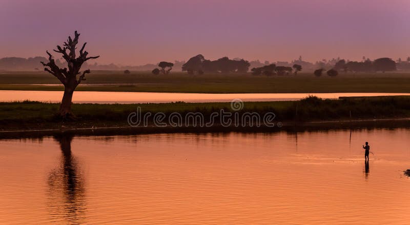 Fisherman and tree silhouette in Amarapura, Myanmar