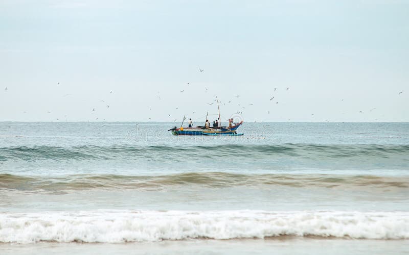 Fishermans op de boot in het overzees met zeemeeuwen boven hen WELIGAMA, SRI LANKA stock fotografie Fishermans op de boot in het overzees met zeemeeuwen boven hen WELIGAMA, SRI LANKA stock fotografie