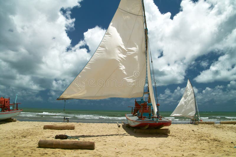 Fishermen s sailing boats, brazil