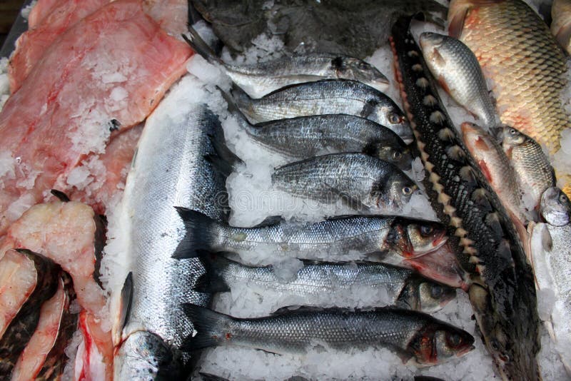 Fresh fishes for sale stock photo. Image of mackerels 47192446