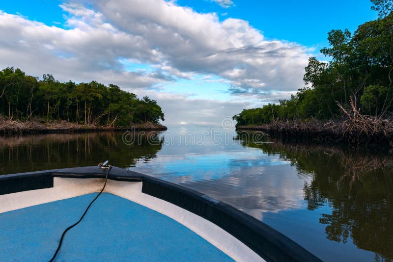 FishiBoat ride Caroni Swamp Trinidad and Tobago river mouth
