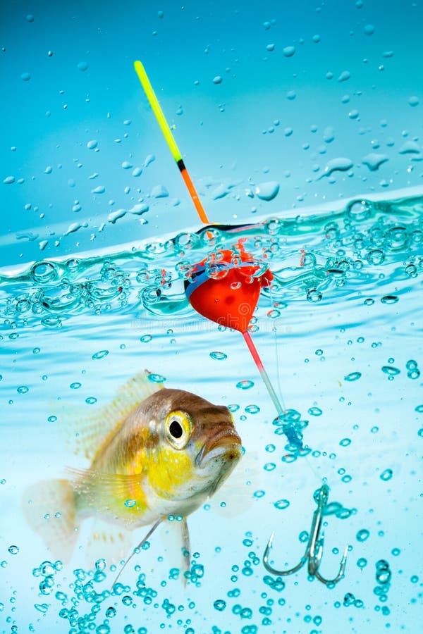 102 Backdrop Fishing Rod White Stock Photos - Free & Royalty-Free Stock  Photos from Dreamstime