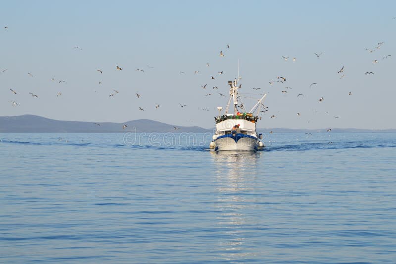 Fishing Boat Followed by Seagull Flock