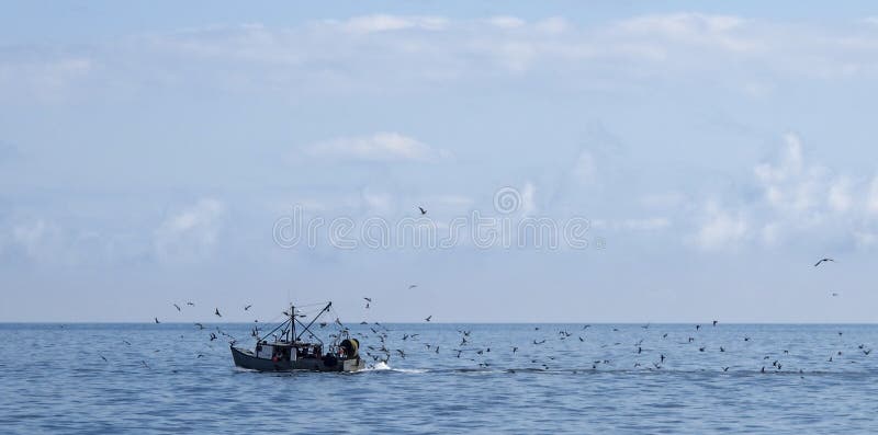 Fishing Boat with Gulls in ocean