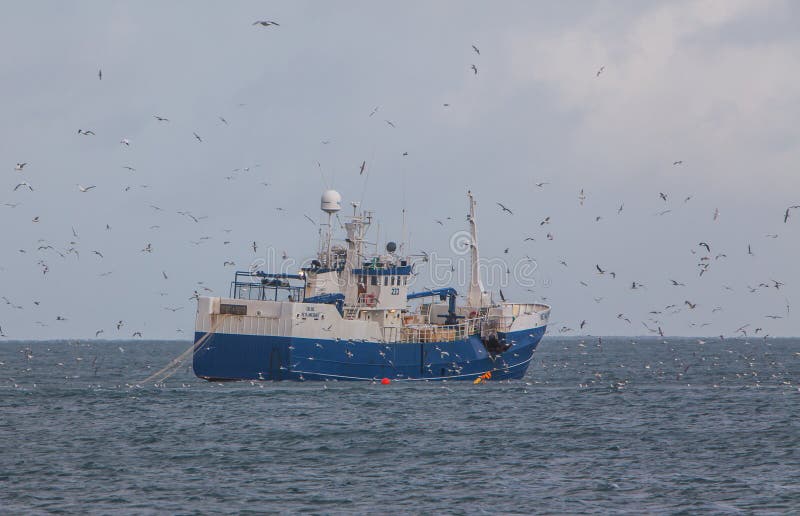 Icelandic fishing boat Erling KE-140 catches Atlantic cod in net.