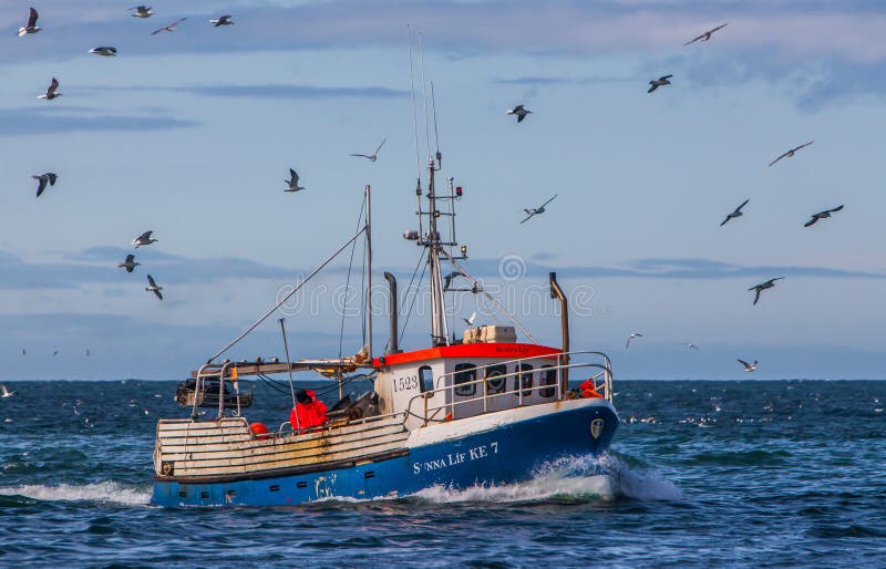 The Icelandic offshore commercial fishing boat Sunna Lif KE-7 approaching land in the fishing village Sandgerdi, Iceland, 06.05.2013 with fresh fish caught in nets