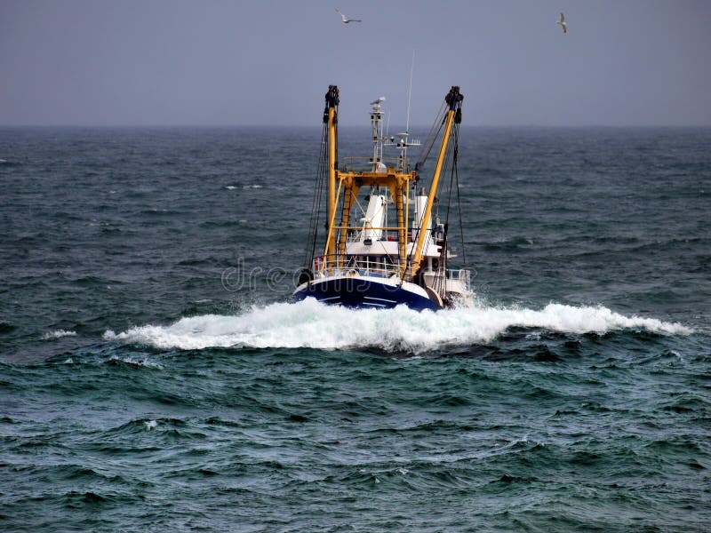 Florida fishing boat seen 'shaking like an earthquake' as underwater predator pounces