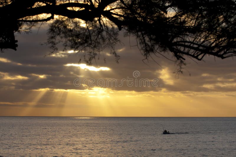 Fishing boat returning to the harbour in the azores at sunset. Fishing boat returning to the harbour in the azores at sunset