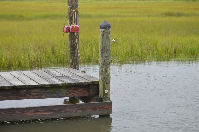 Crab Watched Stock Photos Free & RoyaltyFree Stock Photos from