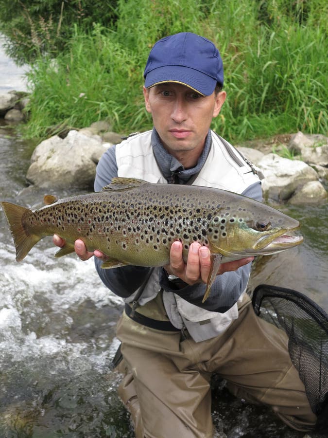 Brown Trout Stock Image. Image Of Hooked, Tough, Fresh - 16748877