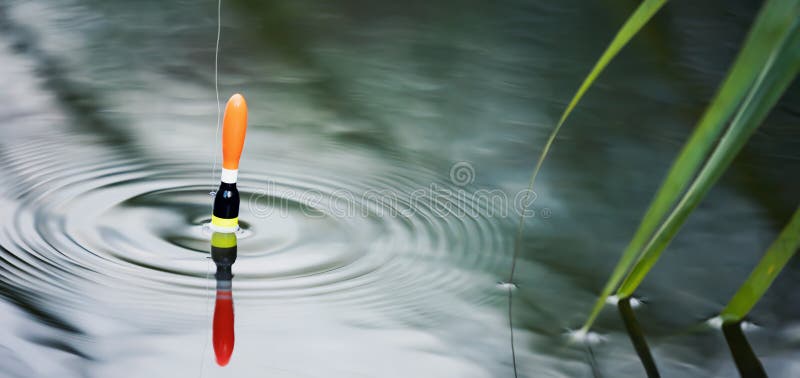 Fishing Float Floating in the Pond Water. Copy Space Stock Image