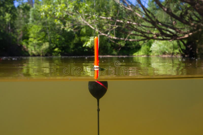 Fishing Float Sits Upright in Forest River Stock Image - Image of surface,  tackle: 221113481
