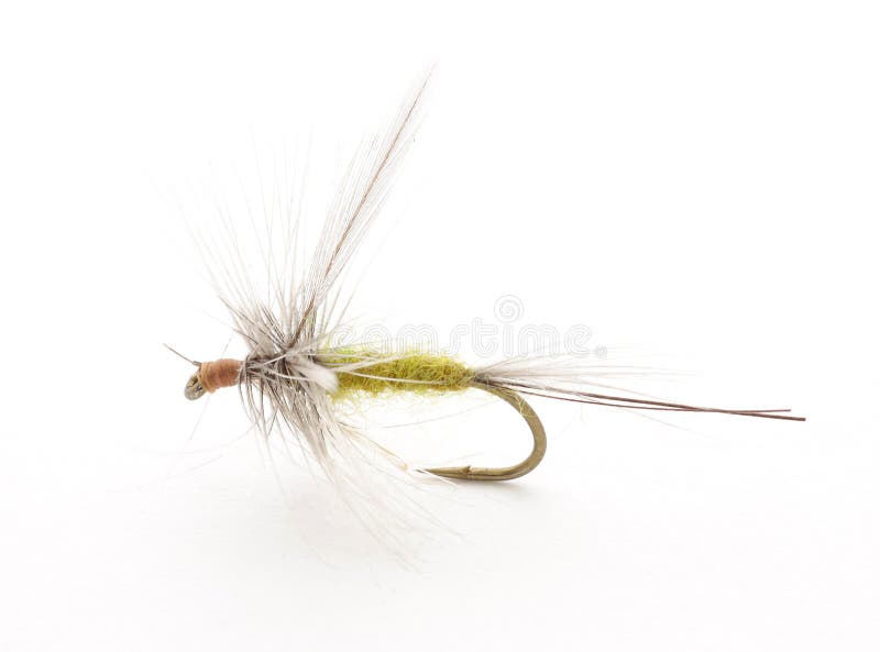 Fishing fly
