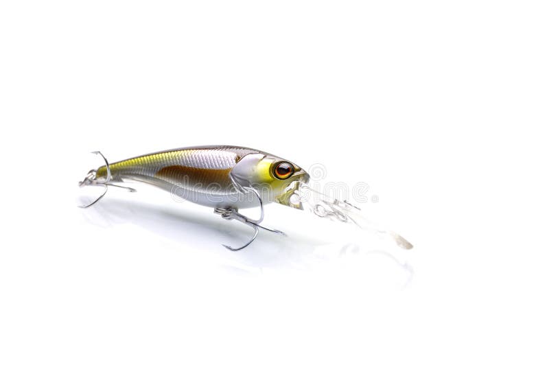 Fishing gear on a white background stock image