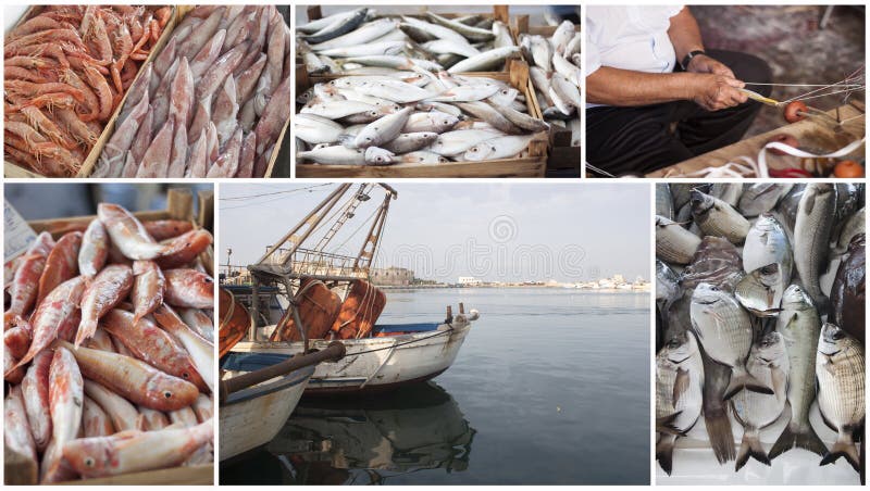 Fishing industry collage