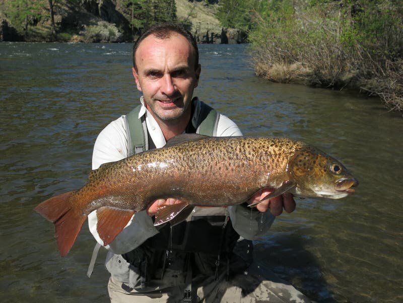 Fishing - lenok trout stock image. Image of green, mongolia - 95428649