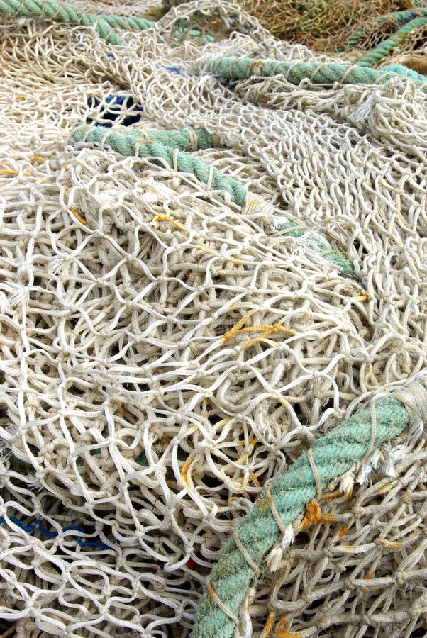 Fishing line stock photo. Image of close, catch, details 9128194