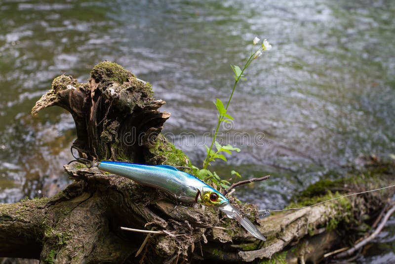 Fishing Lure Caught on a Tree Stock Photo - Image of color, equipment:  188628506