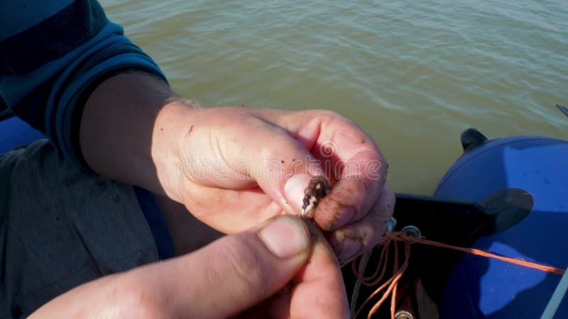 Fishing. Man Sitting in a Rubber Boat in Pond Puts a Worm on Hook. Hands  Close-up. Live Bait for Fish Stock Footage - Video of calm, freshwater:  210216536