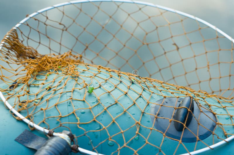 Fish Catch Dip Net Image & Photo (Free Trial)