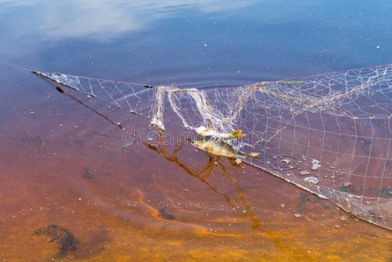 Fishing Net. Poaching. Place for Your Text Stock Photo Image of