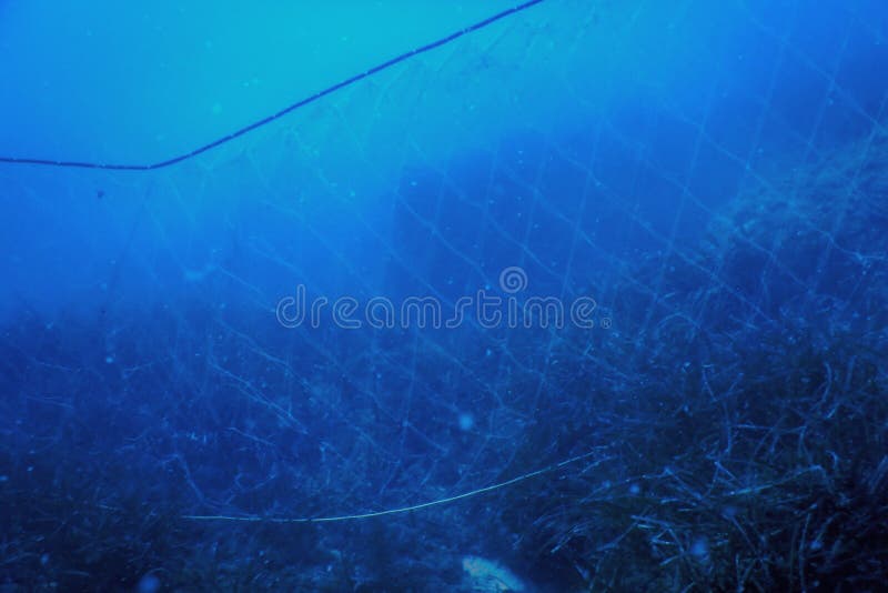 A Fishing Net Underwater Fixed on the Seabed Stock Image - Image of  environment, fishery: 220813399