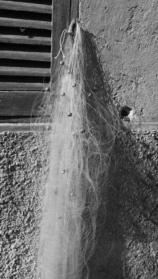 Fishing net stock photo. Image of detail, nylon, marina 50564480