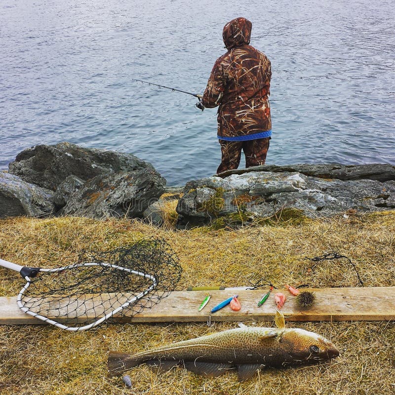 Fishing in Norway stock image. Image of harbor, norway 55009727
