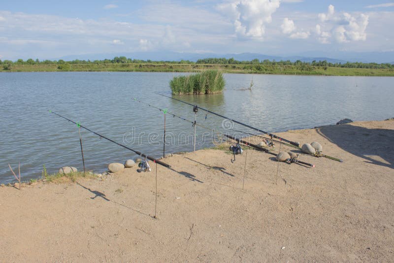 Fishing Poles Mounted on the Holder and Set Up at the Shore of a