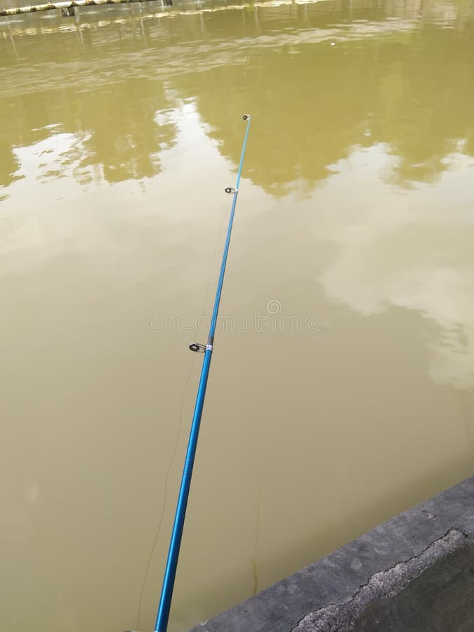 Fishing Rod with Fiber Material for Fishing in Fish Ponds Stock Photo