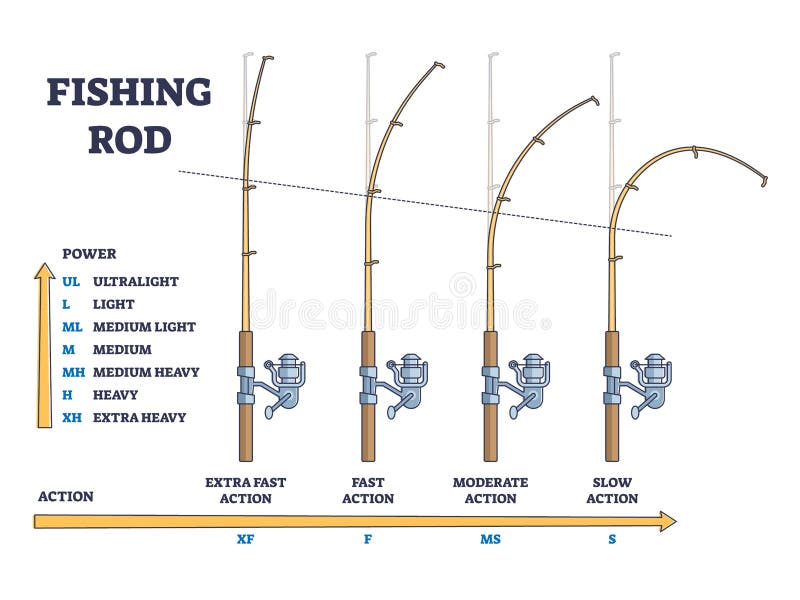 Fishing Rod Power Vs Action Comparison for Curvation Angle Outline ...