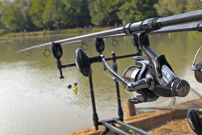 Feeder Fishing Rod on the Stand Stock Image - Image of hunting