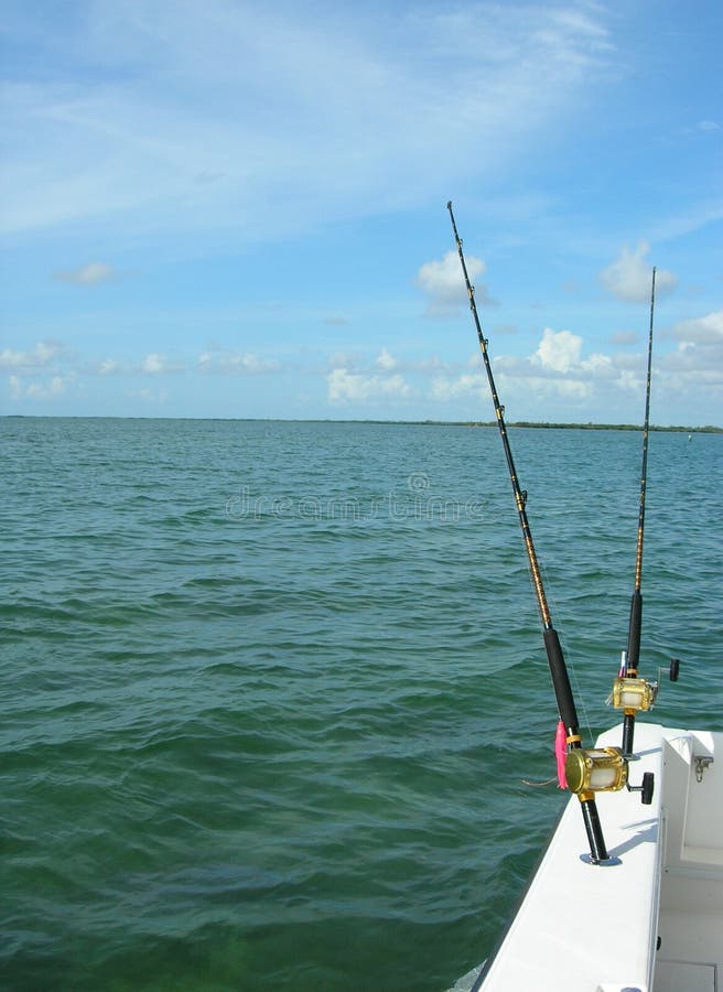 5 Fishing Rods stock image. Image of swordfish, saltwater 1555607