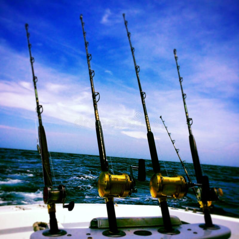 Fishing Rods for Fishing in Sale of Sports Shop. Fishing Spinnings in