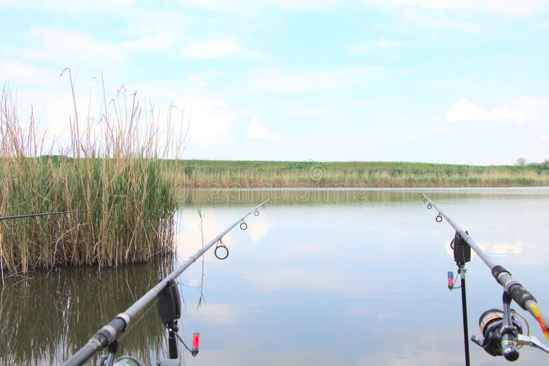 Fishing Rods on the River Bank, Fishing. Stock Photo - Image of background, childhood: 183201782