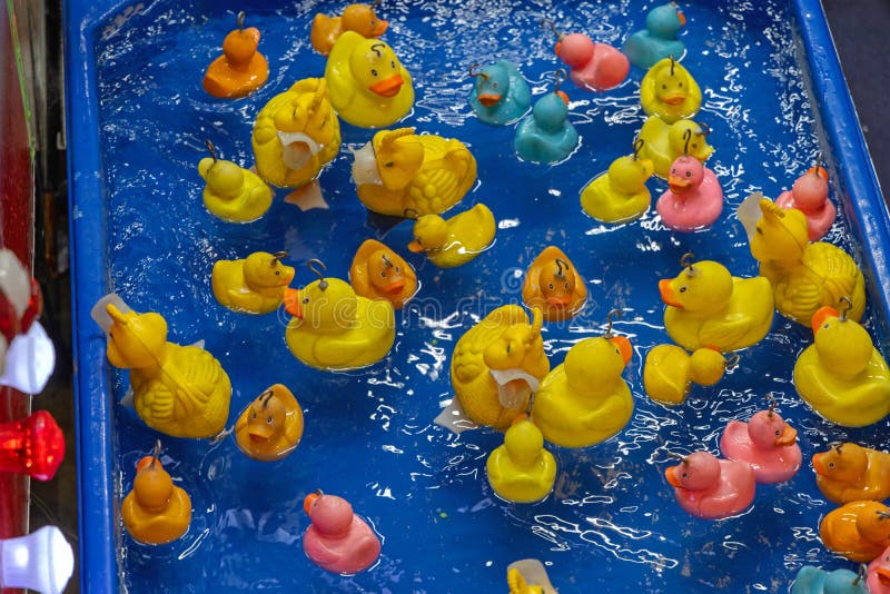 Rubber Ducky Carnival Game Free Stock Photo - Public Domain Pictures